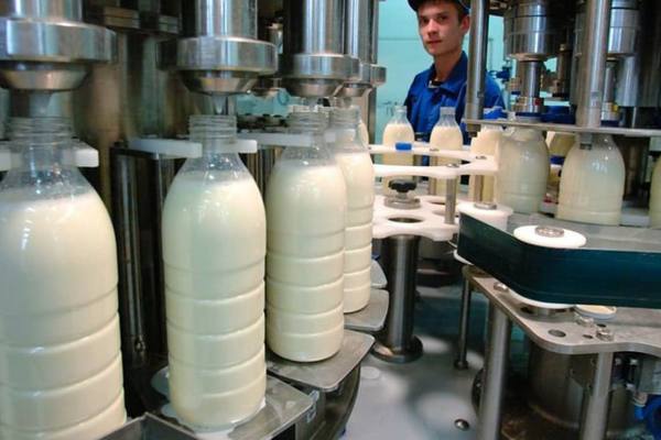 Линия розлива молока на заводе: промышленное производство молочной продукции в России