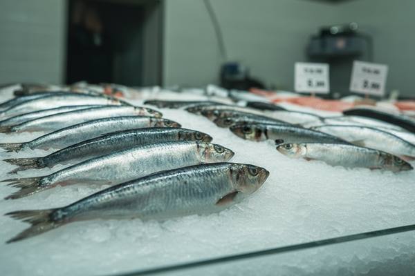 Свежая сельдь на льду в рыночной витрине на фоне ценника с пониженной стоимостью — иллюстрация падения цен на рыбном рынке в России