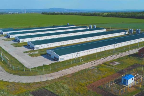 Птицеводческий комплекс с производственными корпусами, вид с воздуха