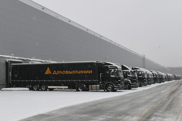Грузовые автомобили компании «Деловые Линии» на терминале логистического комплекса зимой