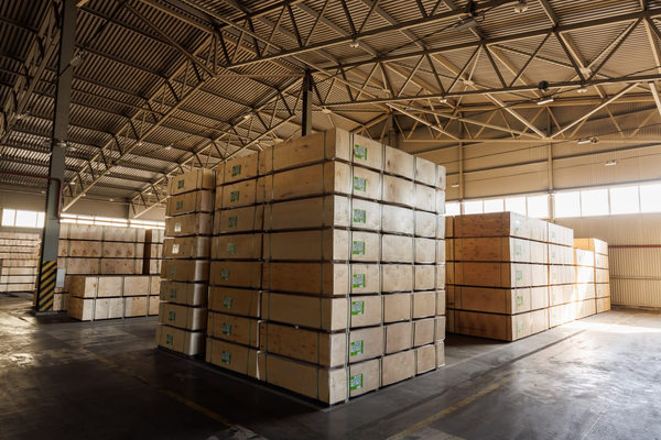 Склад готовой продукции с фанерой — экспорт древесных материалов «Свезы» в Египет и страны Северной Африки