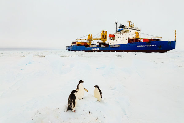 Дизель-электроход FESCO «Василий Головнин» у побережья Антарктиды во время снабжения станции «Бхарати»