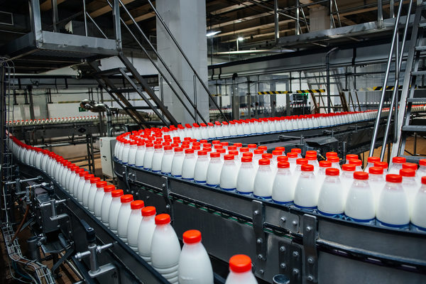 линия розлива молочной продукции на заводе «Логика молока»