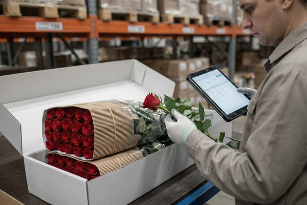 Контроль качества оптовой партии роз на складе: сотрудник проверяет цветы и сверяет данные в планшете перед отправкой