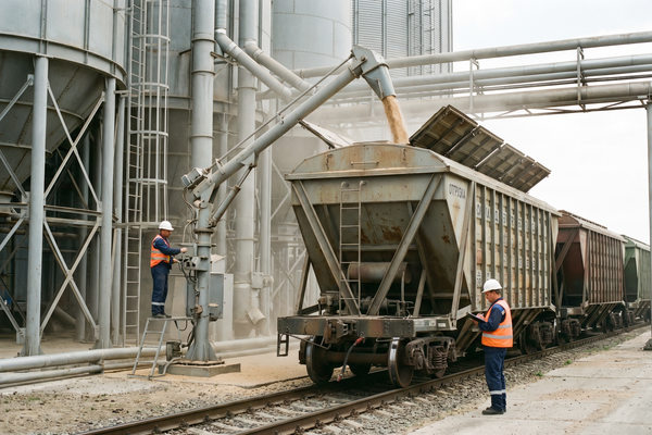 Погрузка зерна в железнодорожный вагон на элеваторе для прямого экспорта без трейдеров