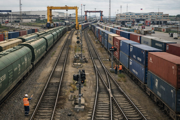 железнодорожный терминал с грузовыми поездами и контейнерами на границе России и Китая, логистика агроэкспорта