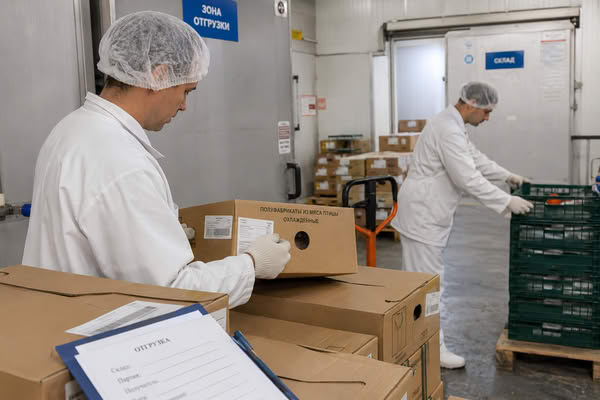 Сотрудники птицеводческого предприятия проверяют коробки с продукцией в зоне отгрузки для поставки в розничную сеть