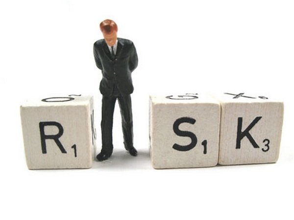 Реферат: Стратегия и приёмы риск-менеджмента