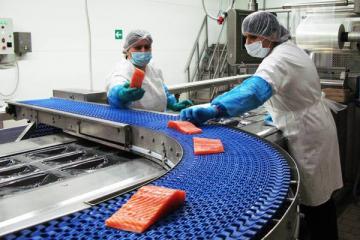Рабочие на линии рыбопереработки с филе лосося — символ консолидации производства и контроля цепочки поставок в отрасли